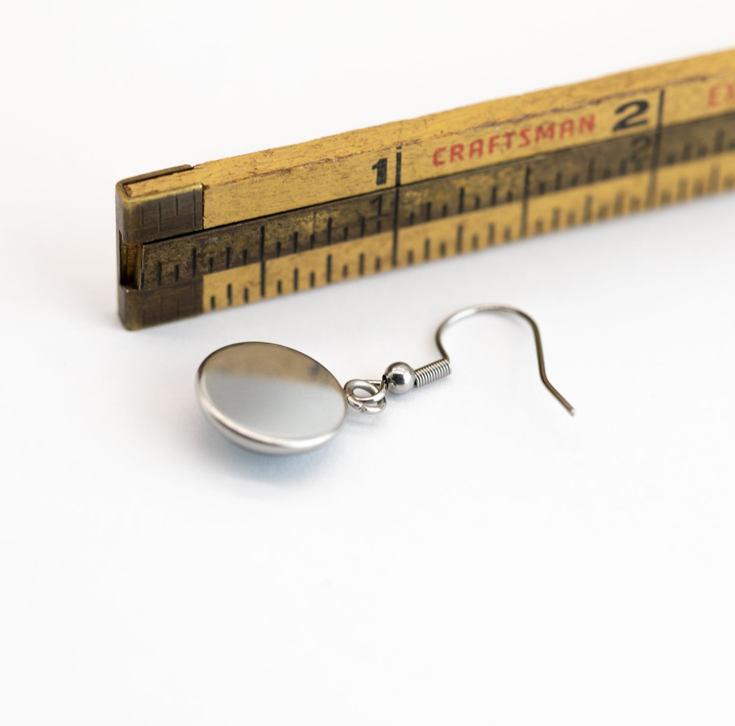 Denali Stainless Steel and Glass Earrings Small