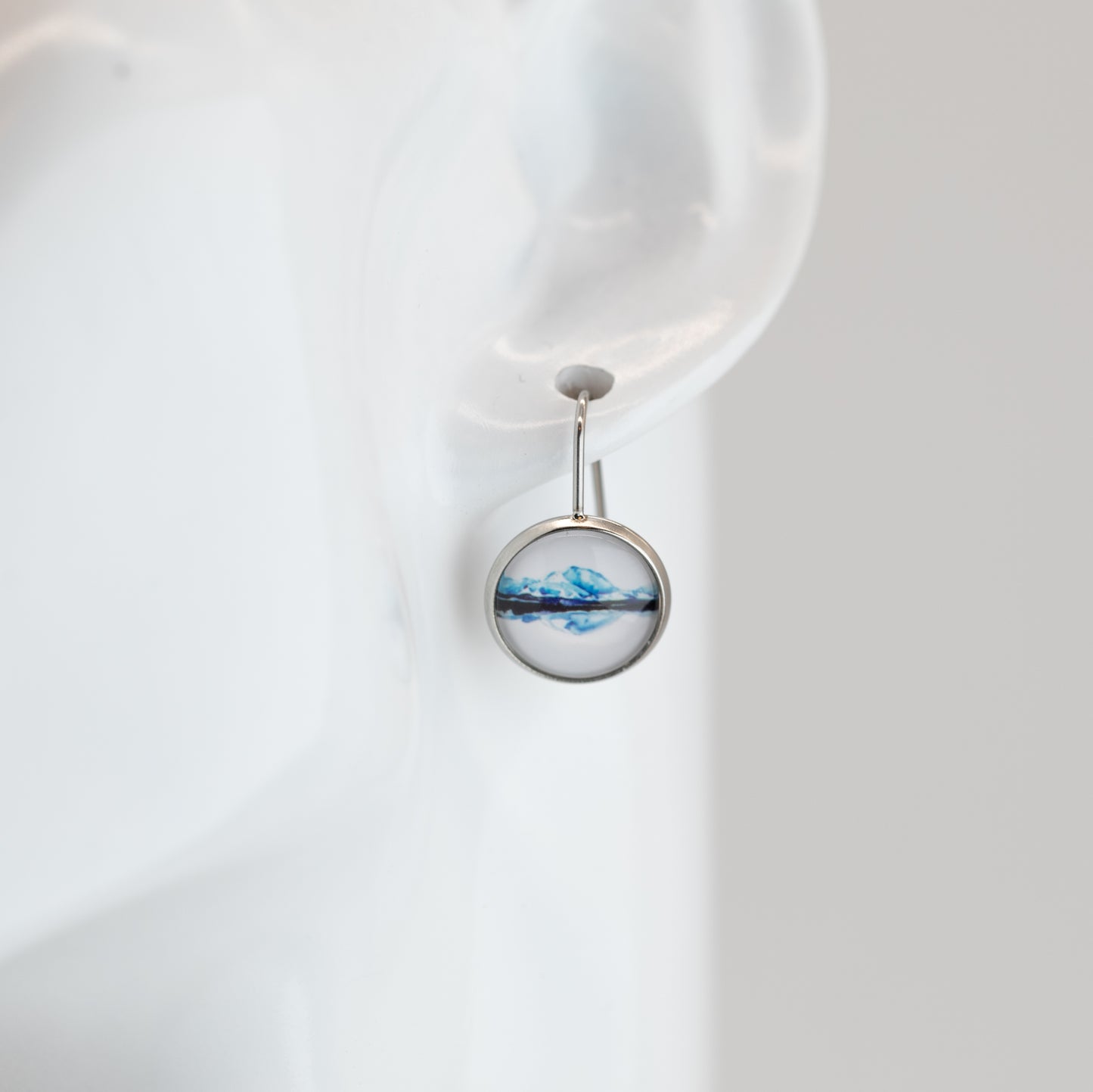 Denali Stainless Steel and Glass Solid Earwire Earrings