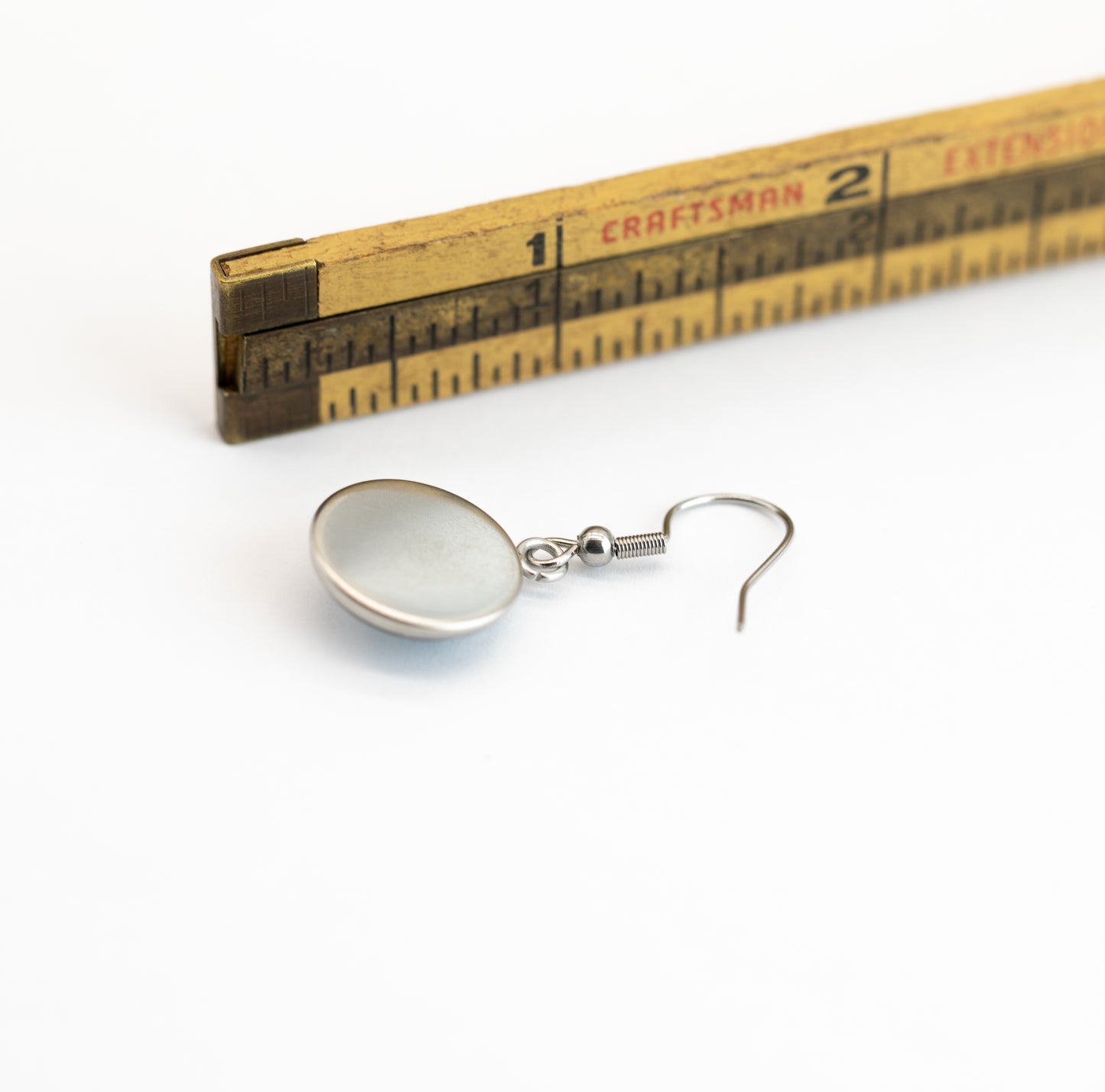 Denali Stainless Steel and Glass Earrings Medium